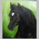Arabian, Oil on Canvas, Bobby Cullimore 2008