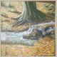 The Otter, Oil on Canvas, Bobby Cullimore 2008
